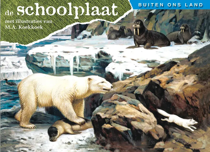 De schoolplaat / Buiten ons land