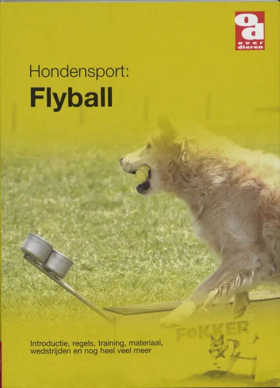 Hondensport / Flyball