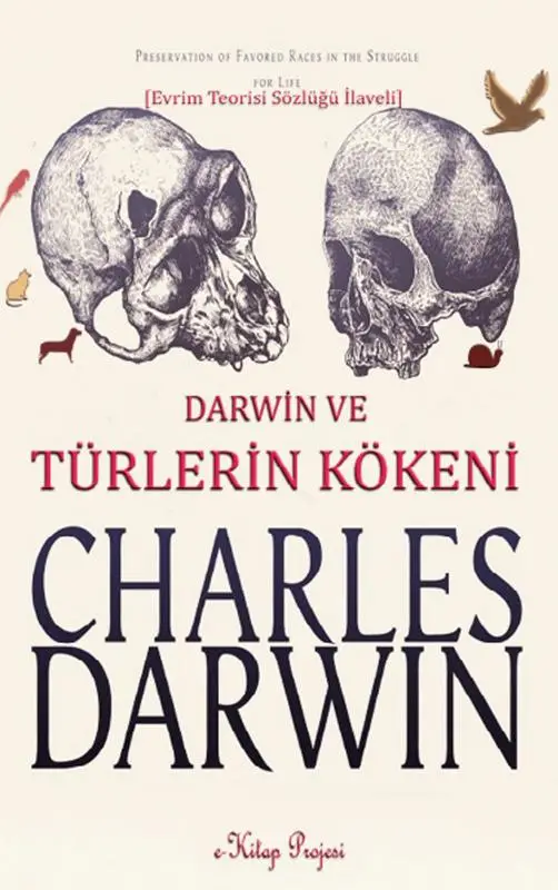 Türlerin Kökeni