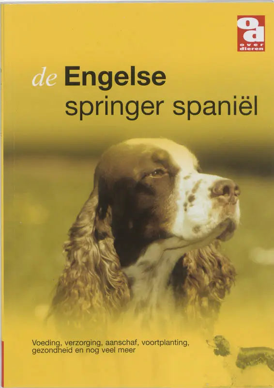 De Engelse springer Spani