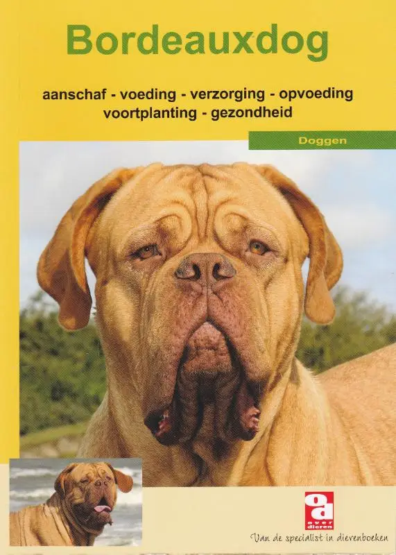 Bordeauxdog