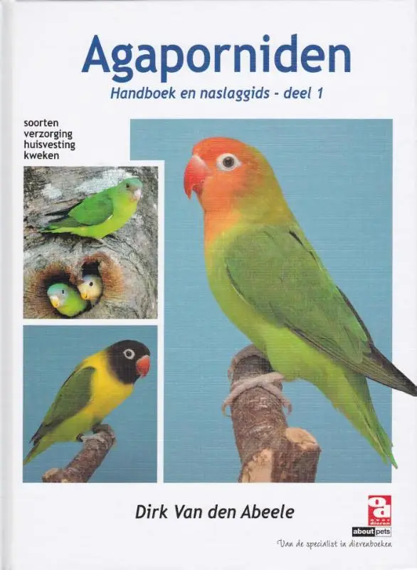 Agaporniden / 1 Soorten, verzorging, huisvesting, kweken