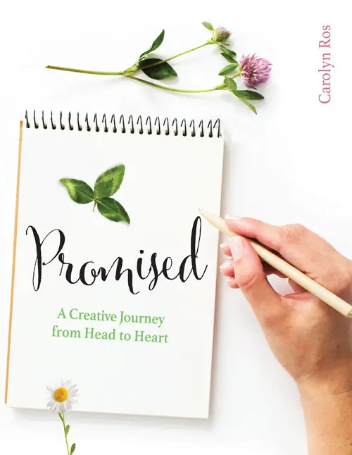 Promised NL editie