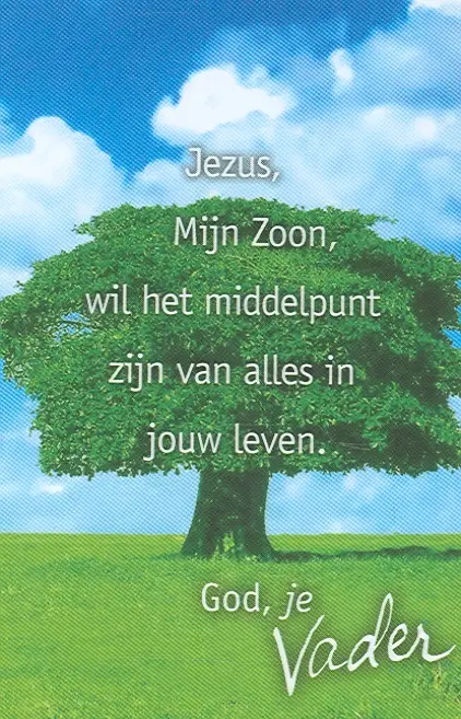 Minikaart vhk Jezus Mijn Zoon wil het