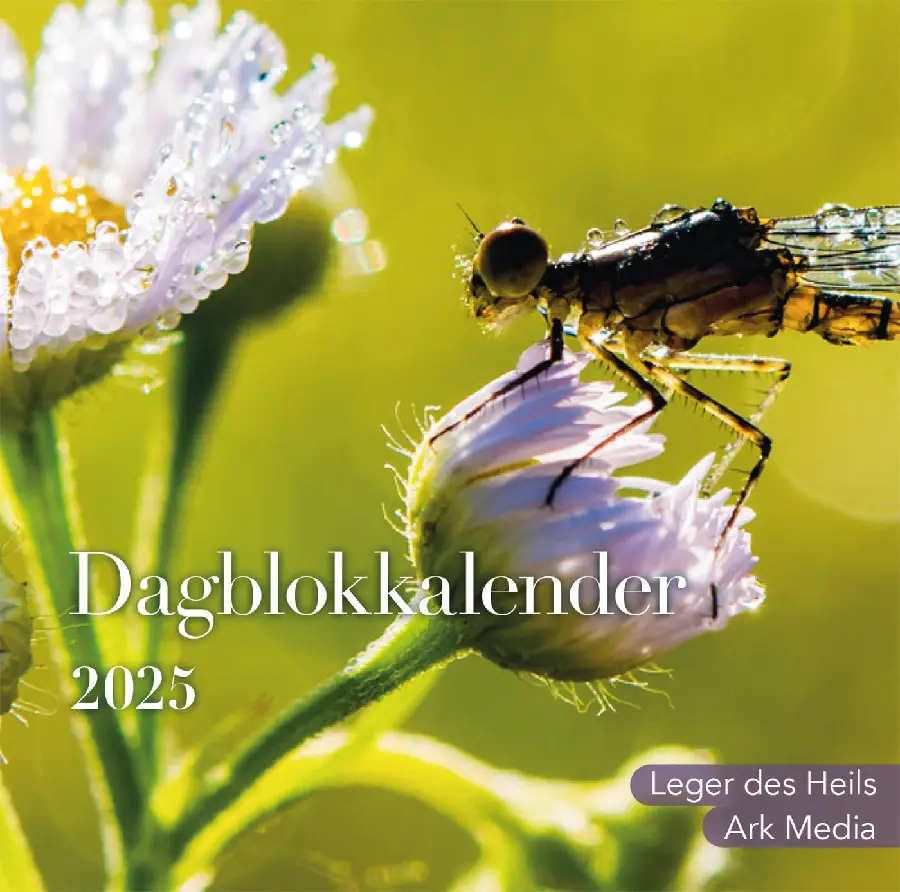 Dag in dag uit 2025