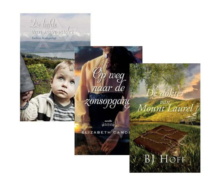 Pakket Zoeklicht zomer 2021