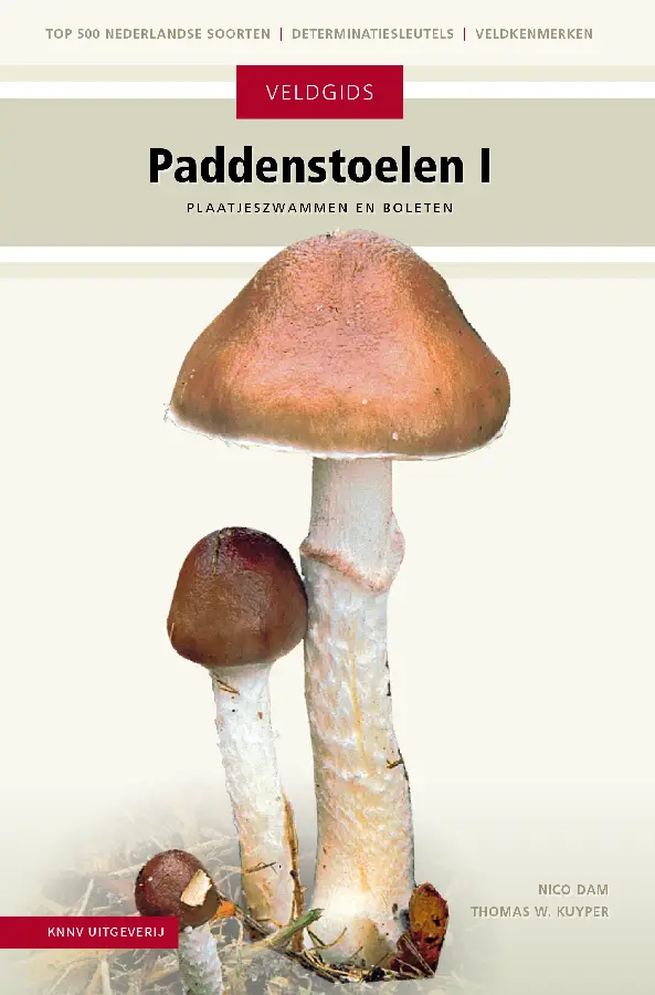 Paddenstoelen I