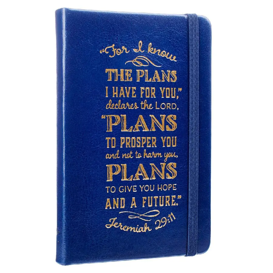 For I know the plans - Blue
