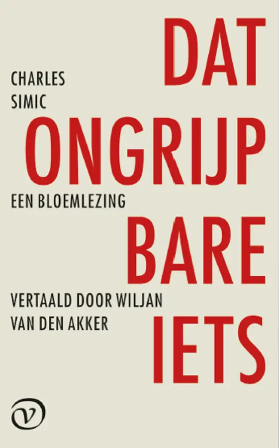 Dat ongrijpbare iets