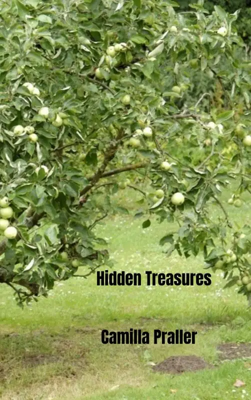 Hidden Treasures