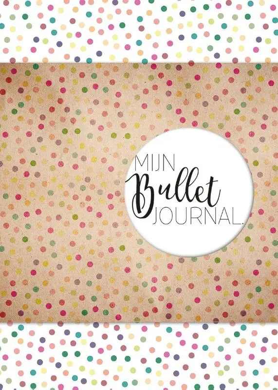 Mijn bullet journal stip