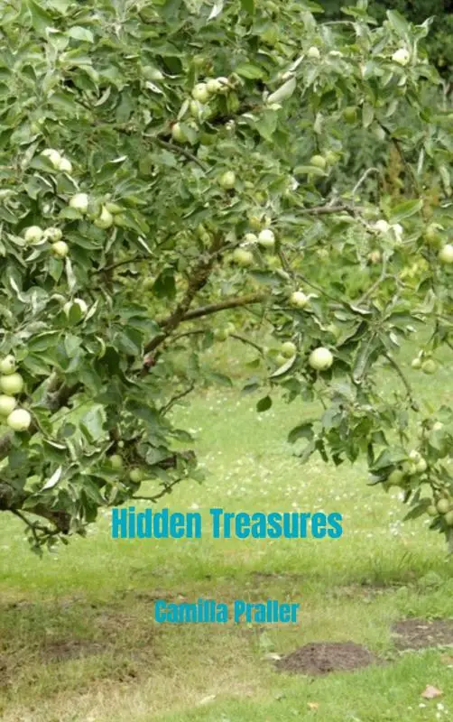 Hidden Treasures
