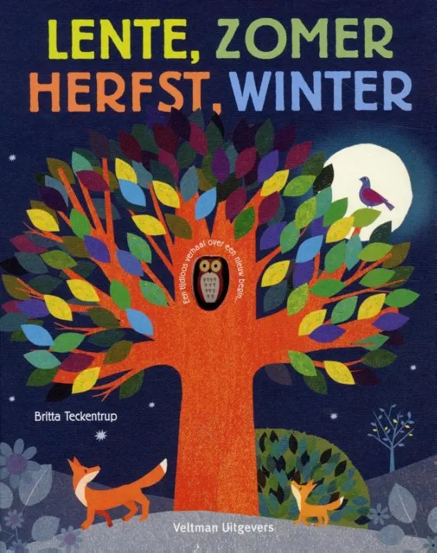Lente zomer herfst winter