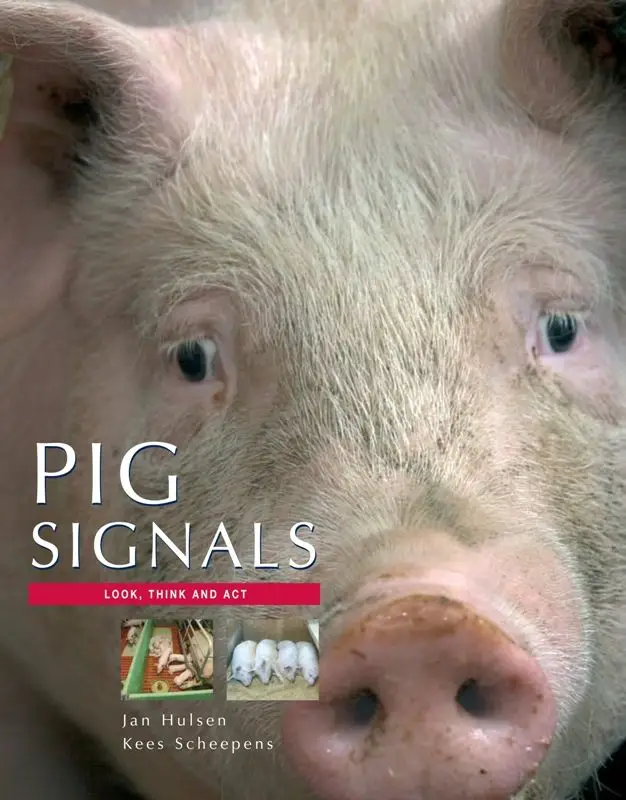 Pig Signals / druk 1