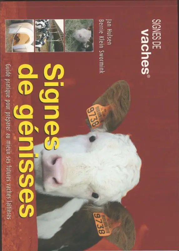 Signes de genisses