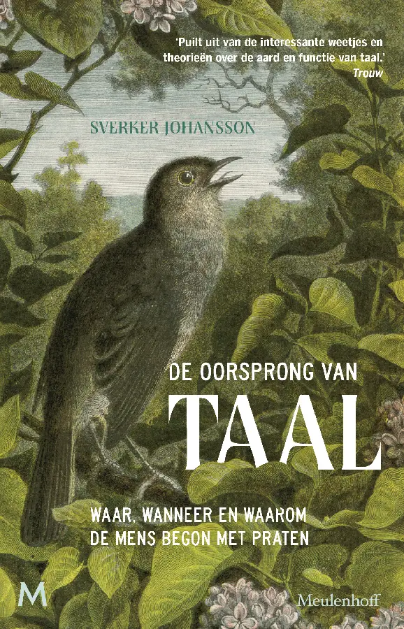 De oorsprong van taal
