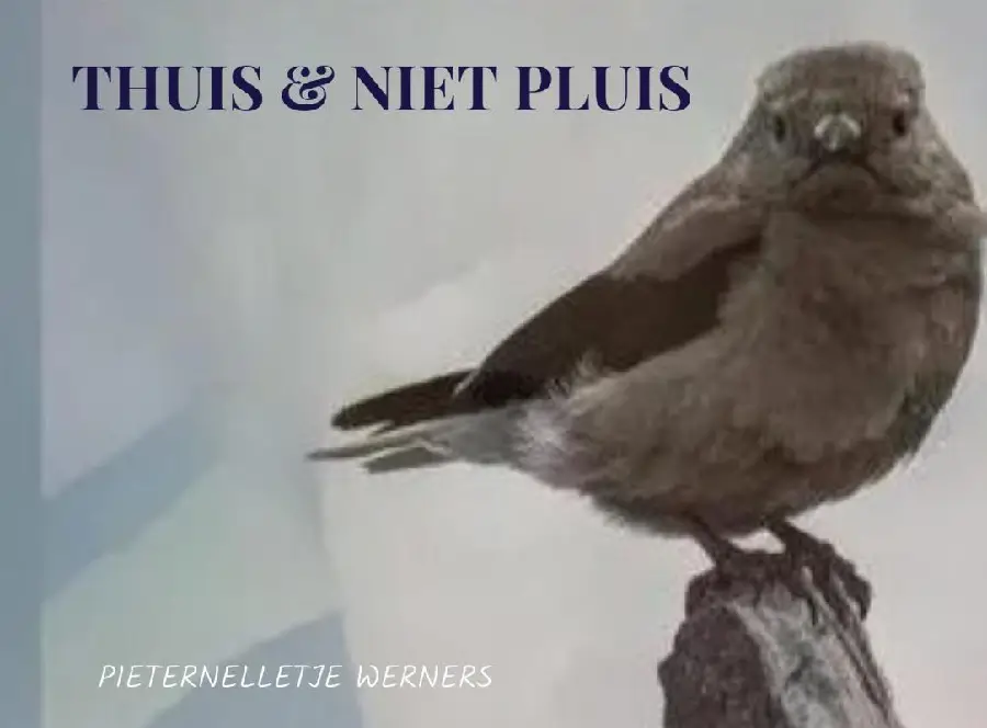 THUIS & NIET PLUIS thuisfrontgedichten