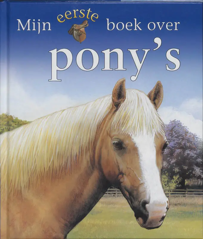 Mijn eerste boek over pon