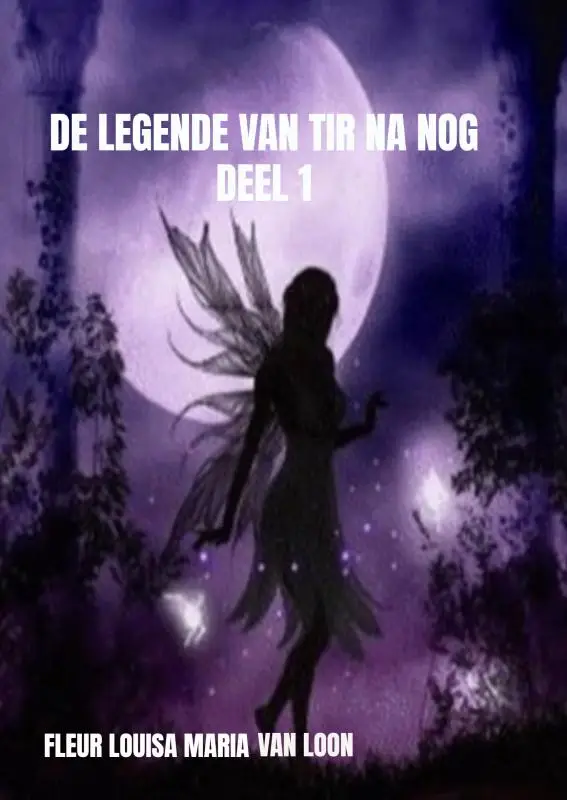De legende van Tir Na Nog deel 1