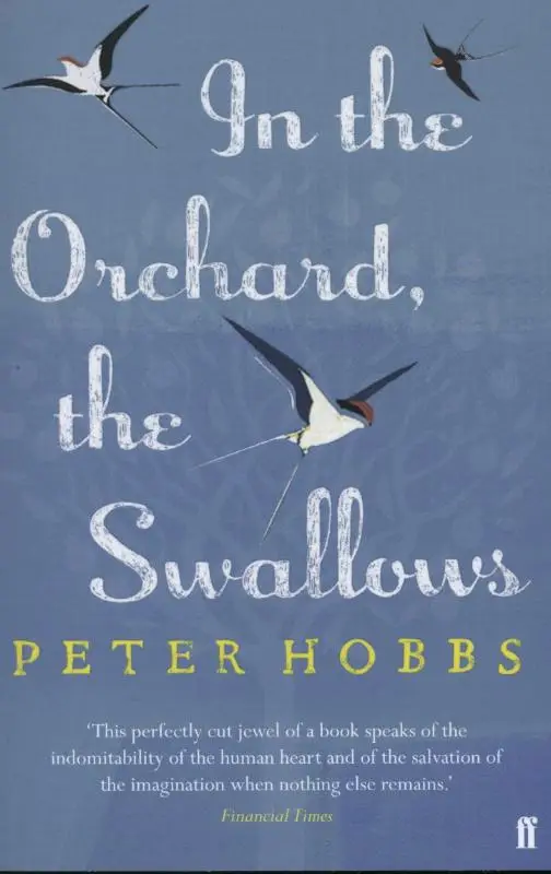 In the Orchard, the Swallows