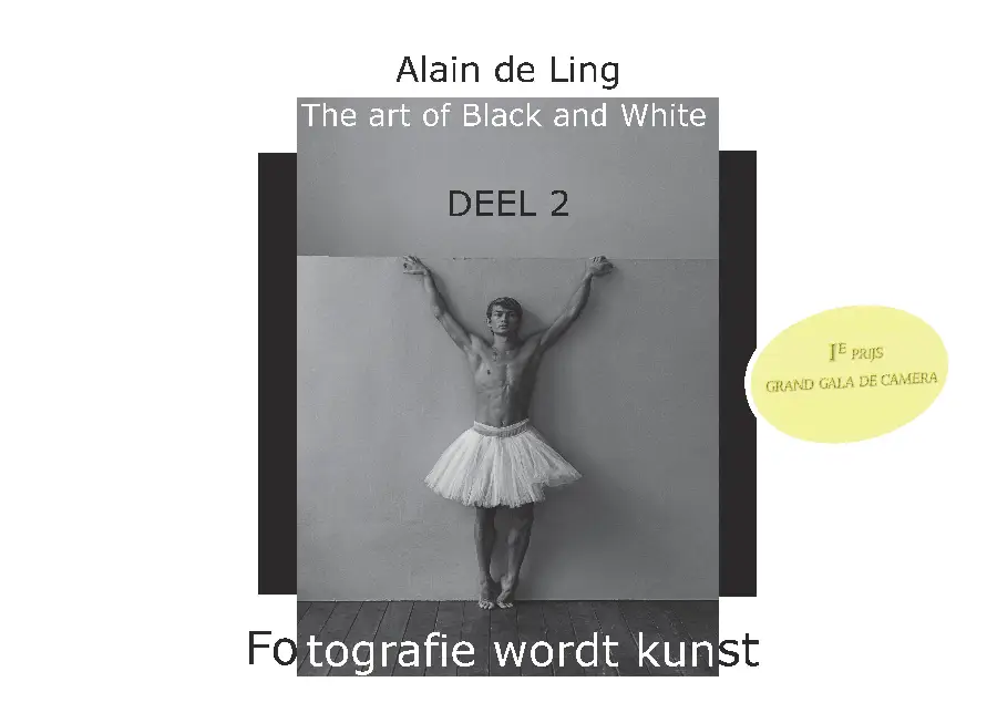 The Art of Black and White / 2