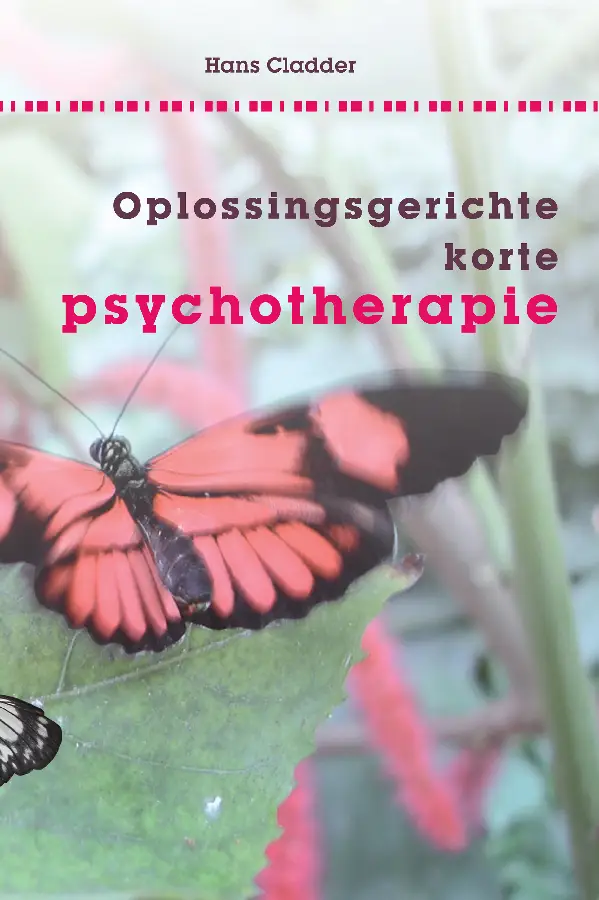 Oplossingsgerichte korte
