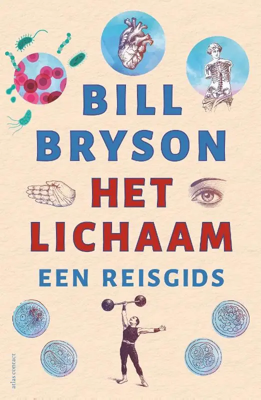 Het lichaam