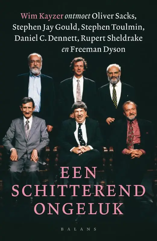 Een schitterend ongeluk