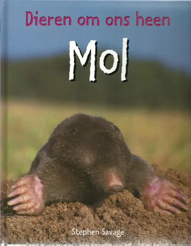 De mol / druk 1