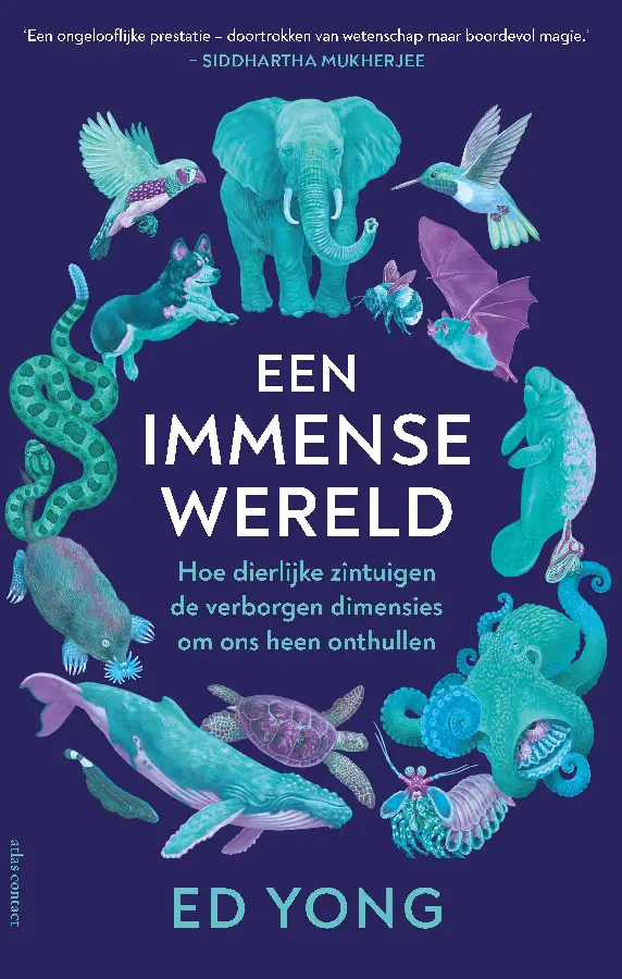 Een Immense wereld
