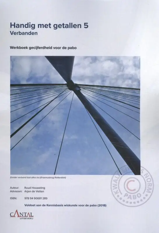 5 verbanden gecijferdheid voor de pabo / Handig met getallen / Werkboek
