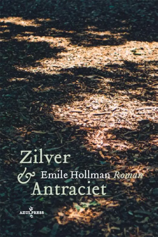 Zilver en antraciet / dru