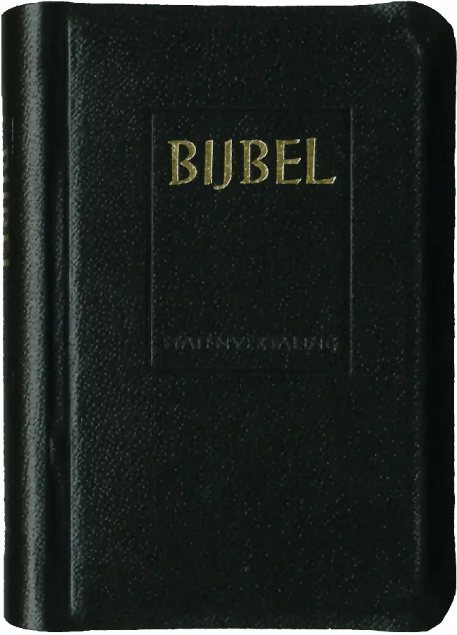 Majorbijbel 104311 sv zwart kunstl kleur