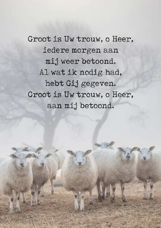 Wenskaart Groot is uw trouw, o Heer