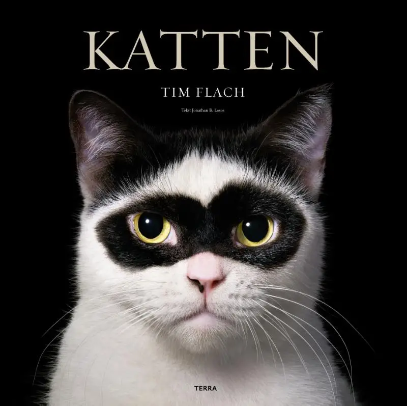Katten