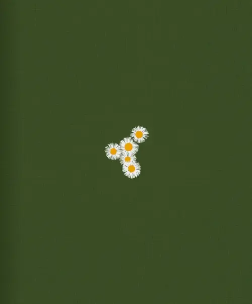 You don't need soil to grow