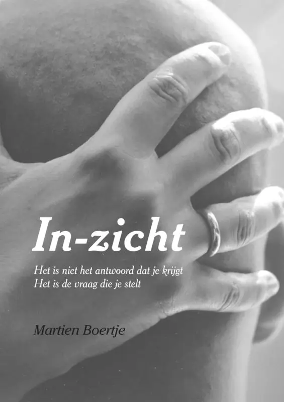 In-zicht