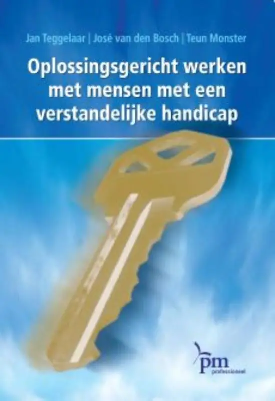 Oplossingsgericht werken