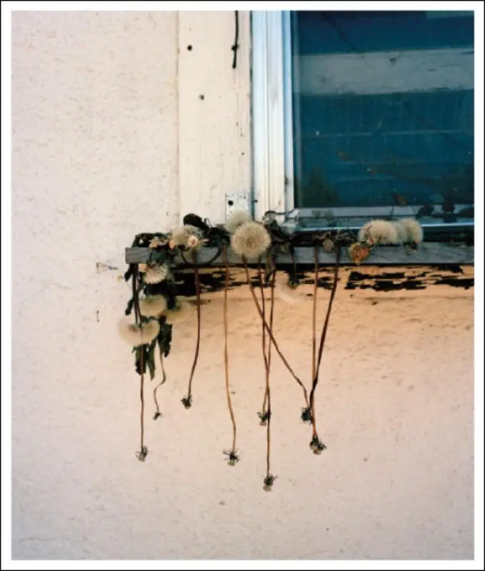 Stick Holding Branch