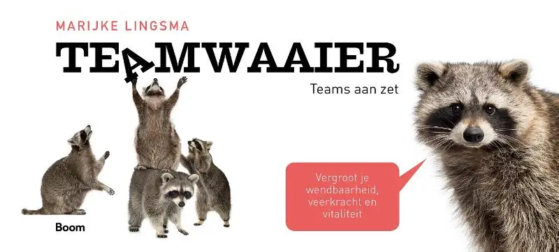 Teamwaaier