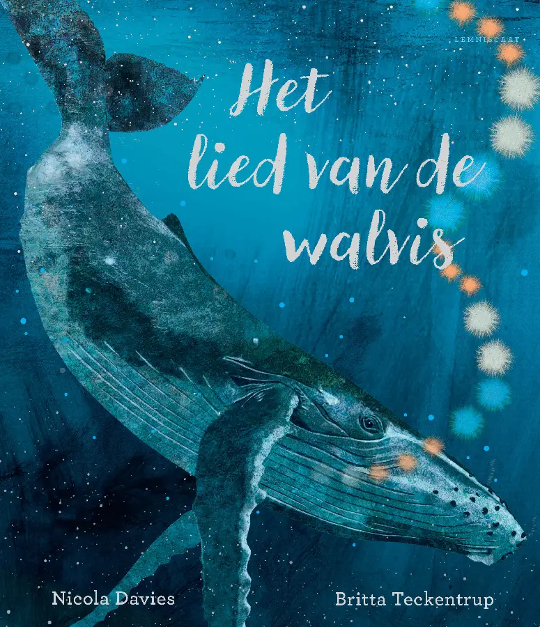 Het lied van de walvis