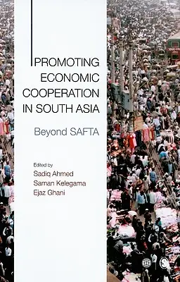 Promoting Economic Cooperation in South Asia: Beyond SAFTA